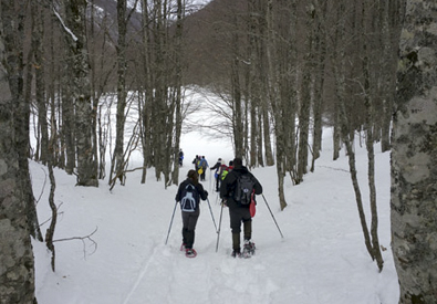 Escursioni neve Pollino