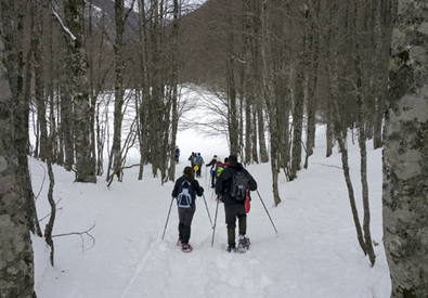 Escursioni neve Pollino