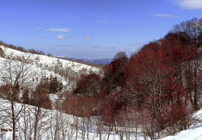 Escursioni neve Pollino