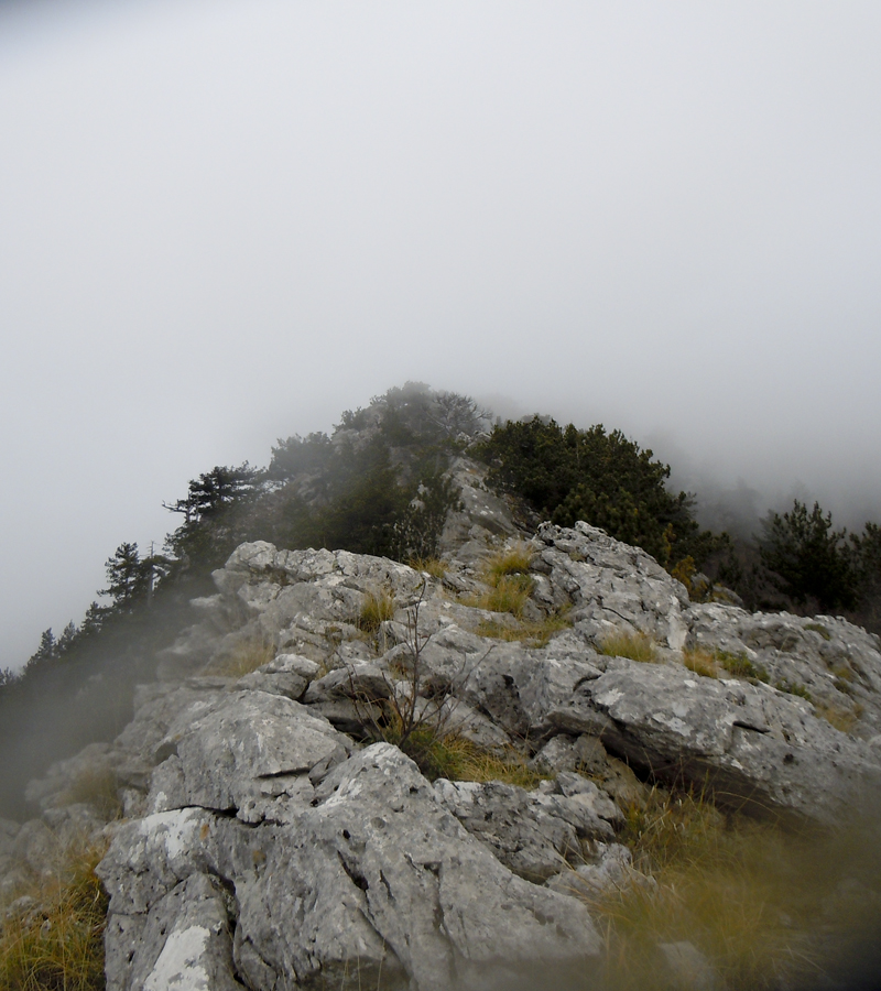 Escursioni Pollino