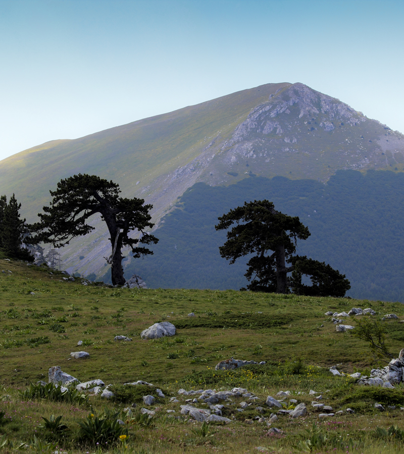 Escursioni Pollino