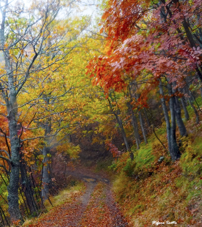 Escursioni Pollino