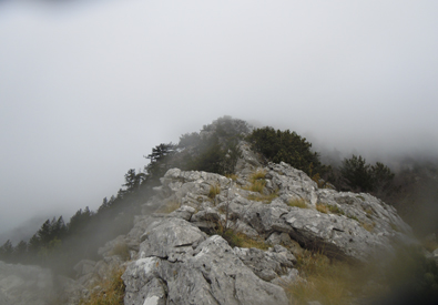 Escursioni Pollino