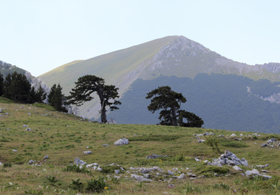 Escursioni Pollino