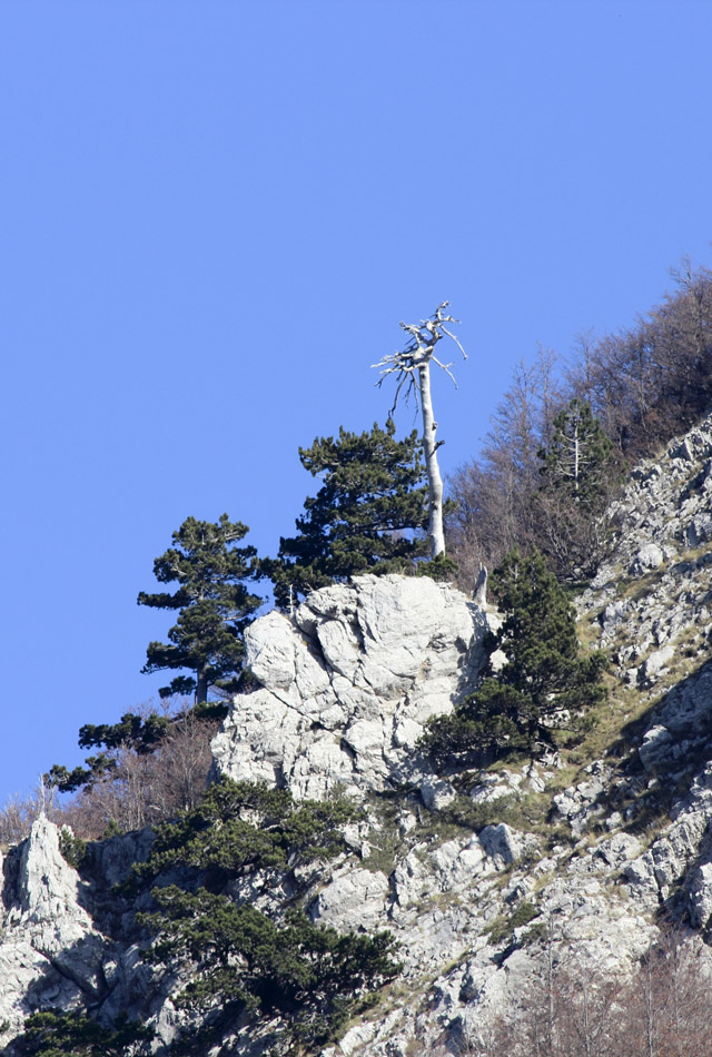 Escursione Pollinello e Patriarca